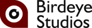 BirdEye Studios